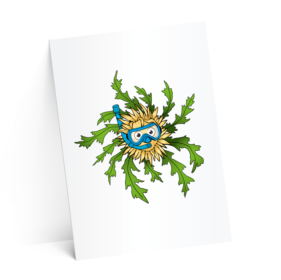 carton suze-test-2-ombres-4