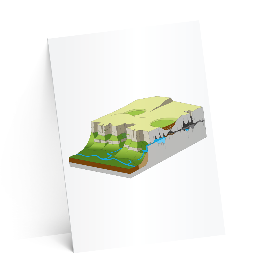 carton suze-test-2-ombres-4