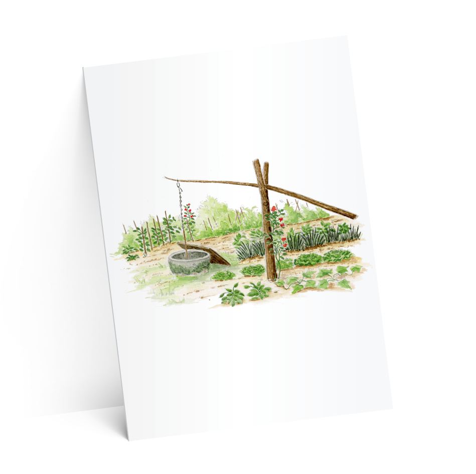 carton suze-test-2-ombres-4