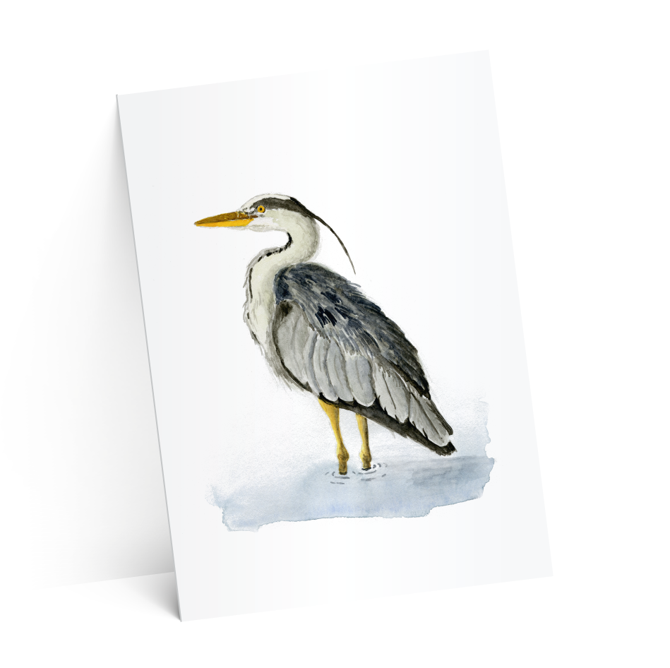 carton suze-test-2-ombres-4