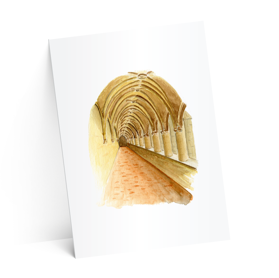 carton suze-test-2-ombres-4