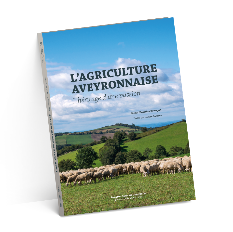 carton suze-test-2-ombres-4