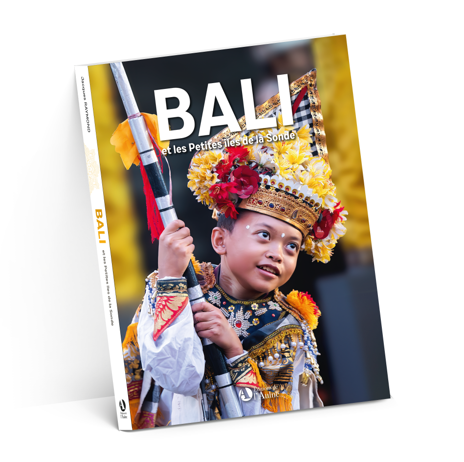 carton base livres Par faim Essonne