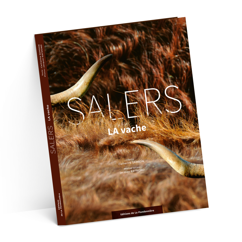 carton suze-test-2-ombres-4