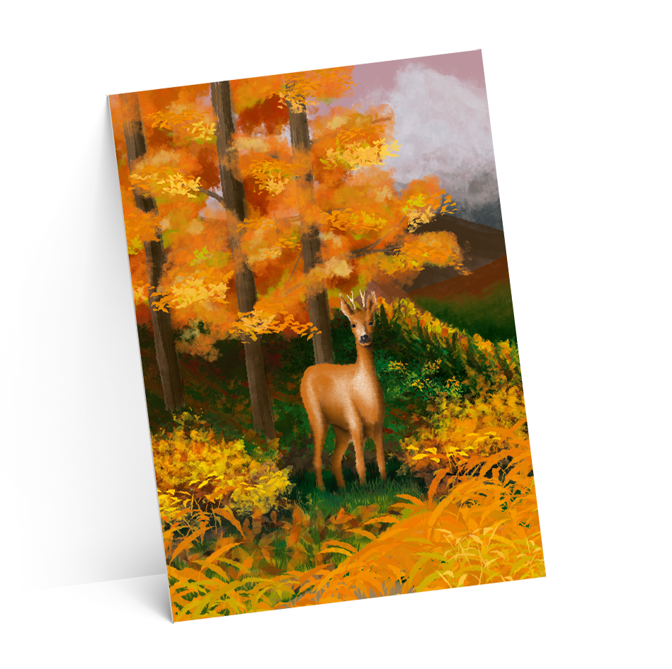 carton suze-test-2-ombres-4