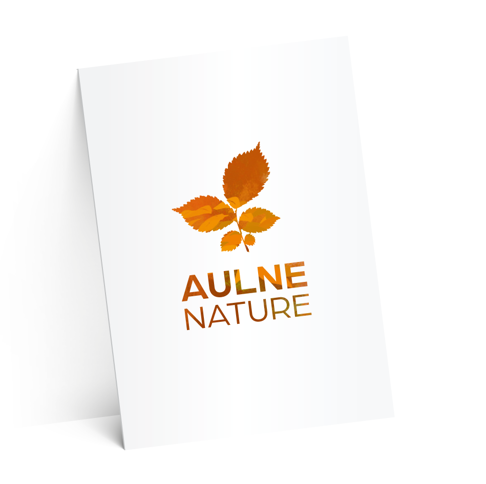 carton suze-test-2-ombres-4